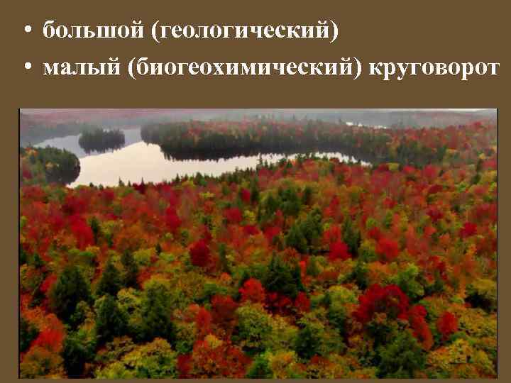  • большой (геологический) • малый (биогеохимический) круговорот 