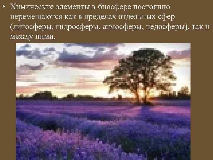  • Химические элементы в биосфере постоянно перемещаются как в пределах отдельных сфер (литосферы,