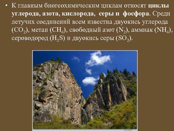  • К главным биогеохимическим циклам относят циклы углерода, азота, кислорода, серы и фосфора.