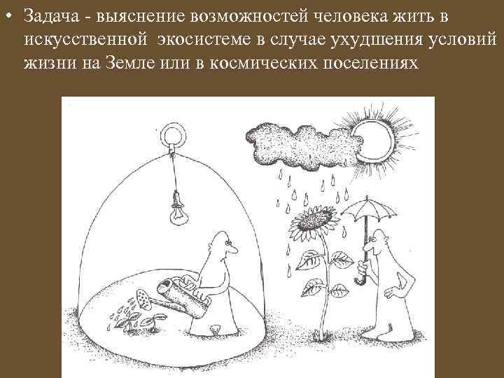  • Задача - выяснение возможностей человека жить в искусственной экосистеме в случае ухудшения