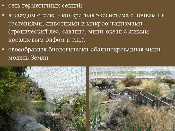  • сеть герметичных секций • в каждом отсеке - конкретная экосистема с почвами