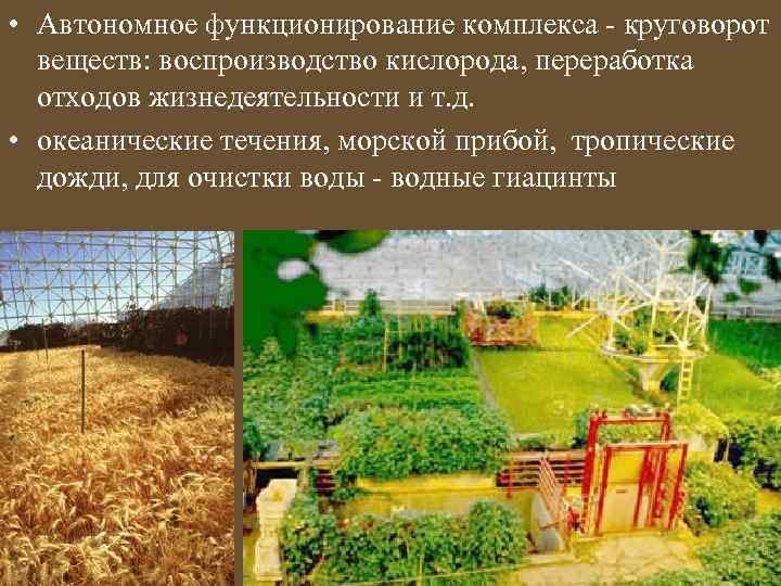  • Автономное функционирование комплекса - круговорот веществ: воспроизводство кислорода, переработка отходов жизнедеятельности и