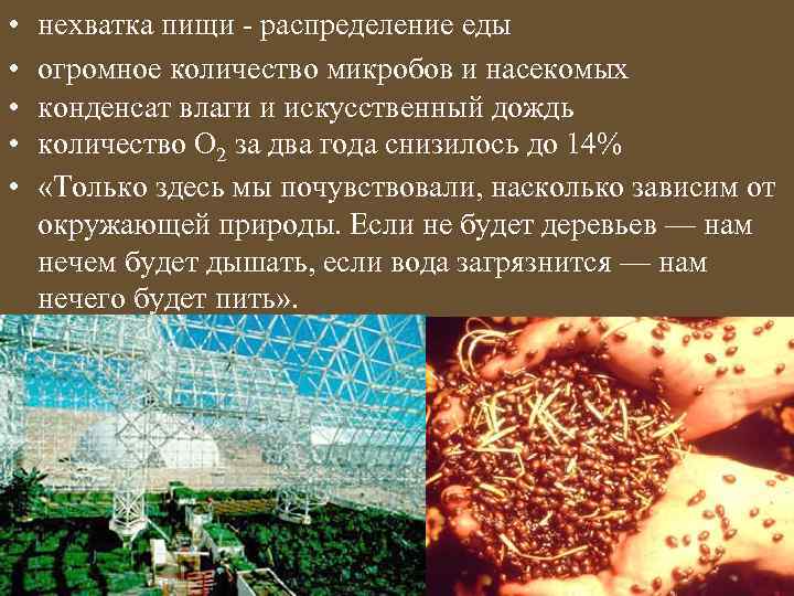  • • • нехватка пищи - распределение еды огромное количество микробов и насекомых