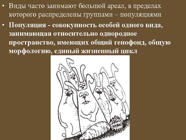  • Виды часто занимают большой ареал, в пределах которого распределены группами – популяциями