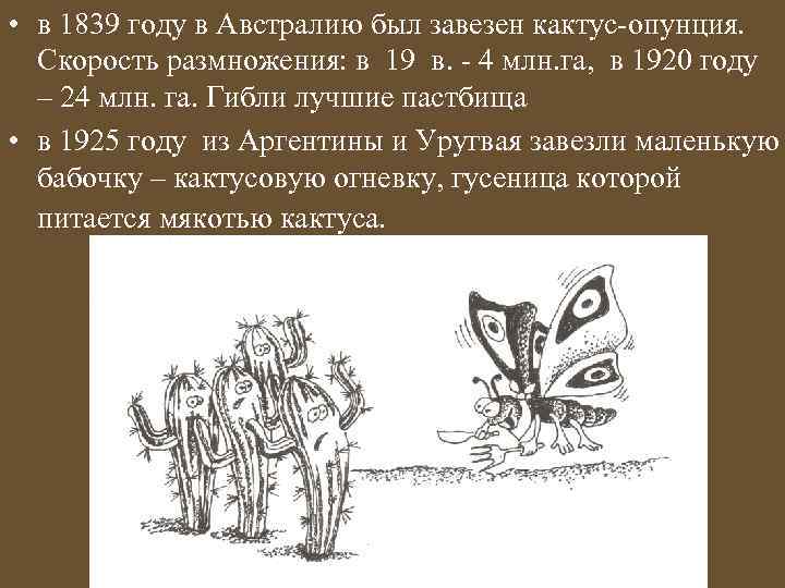  • в 1839 году в Австралию был завезен кактус-опунция. Скорость размножения: в 19