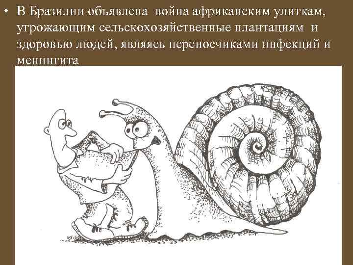 • В Бразилии объявлена война африканским улиткам, угрожающим сельскохозяйственные плантациям и здоровью людей,