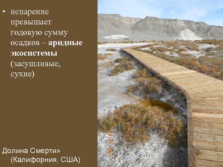  • испарение превышает годовую сумму осадков – аридные экосистемы (засушливые, сухие) Долина Смерти»