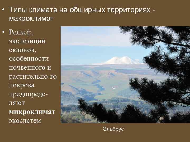  • Типы климата на обширных территориях макроклимат • Рельеф, экспозиции склонов, особенности почвенного