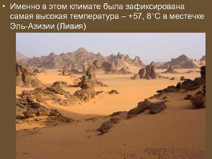  • Именно в этом климате была зафиксирована самая высокая температура – +57, 8°С