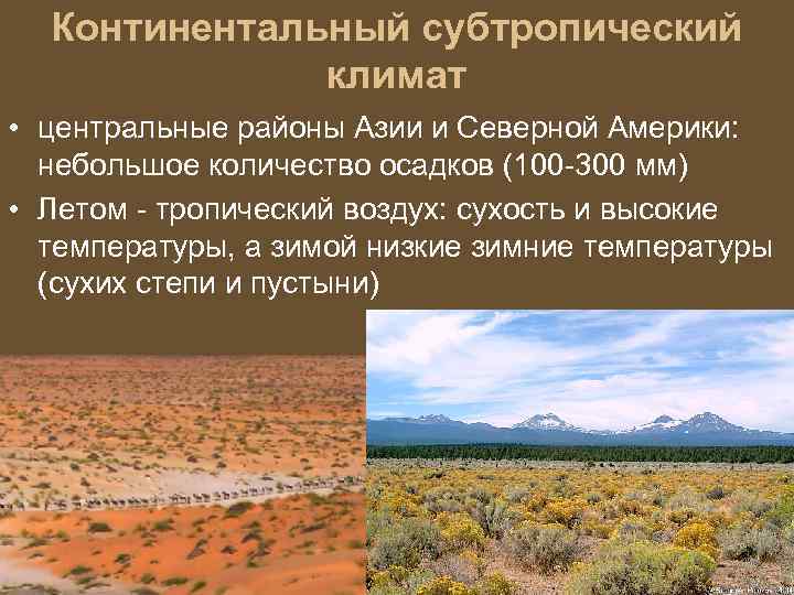 Субтропический пояс количество осадков