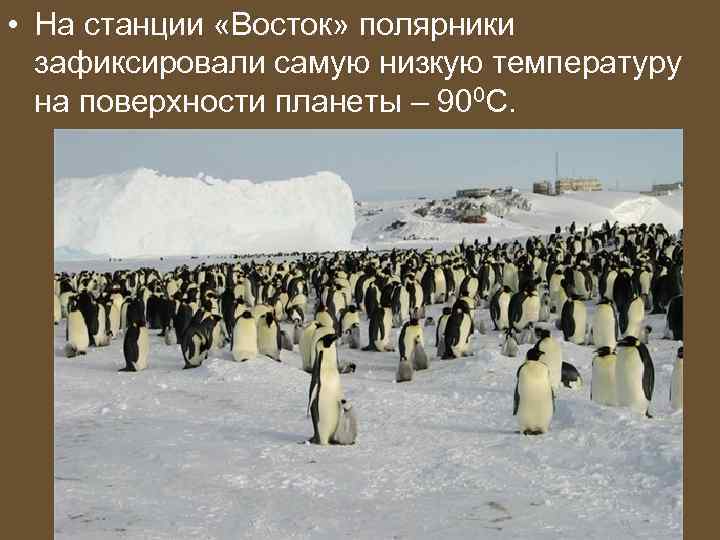  • На станции «Восток» полярники зафиксировали самую низкую температуру на поверхности планеты –