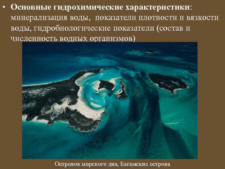  • Основные гидрохимические характеристики: минерализация воды, показатели плотности и вязкости воды, гидробиологические показатели