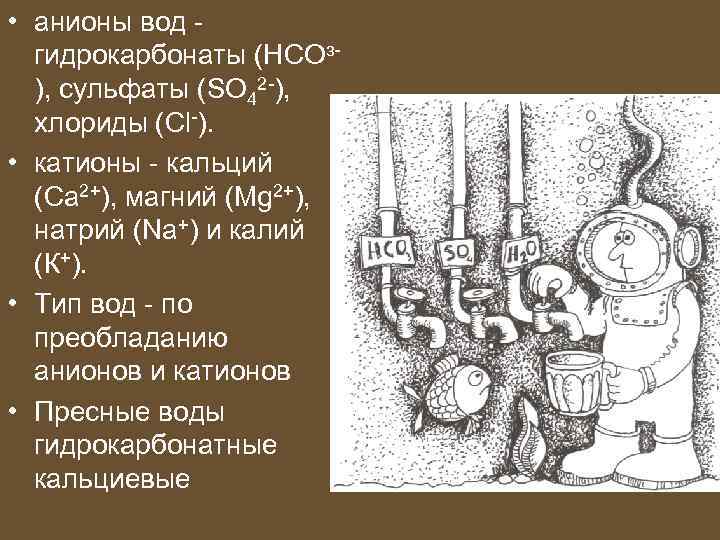  • анионы вод гидрокарбонаты (НСОз), сульфаты (SO 42 -), хлориды (Cl-). • катионы
