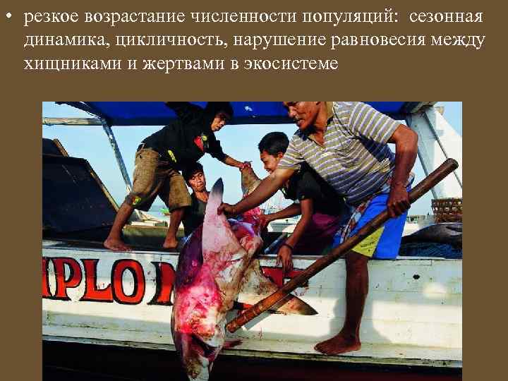  • резкое возрастание численности популяций: сезонная динамика, цикличность, нарушение равновесия между хищниками и