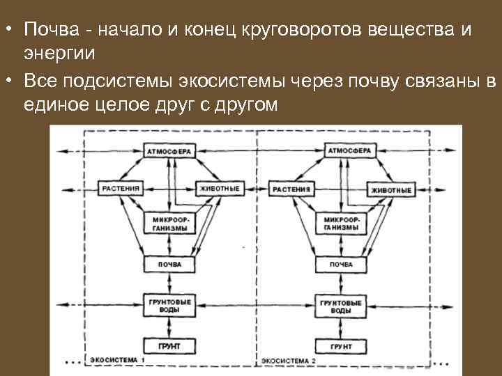  • Почва - начало и конец круговоротов вещества и энергии • Все подсистемы