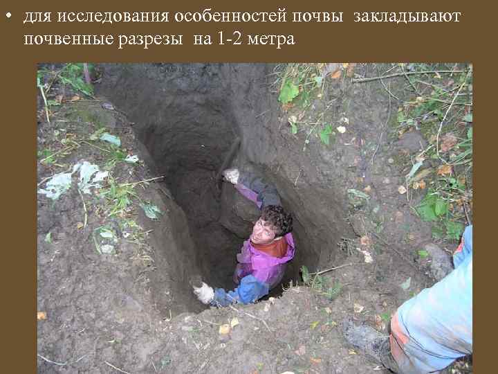  • для исследования особенностей почвы закладывают почвенные разрезы на 1 -2 метра 