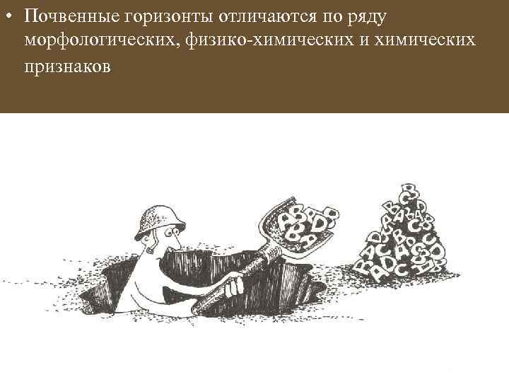  • Почвенные горизонты отличаются по ряду морфологических, физико-химических и химических признаков 