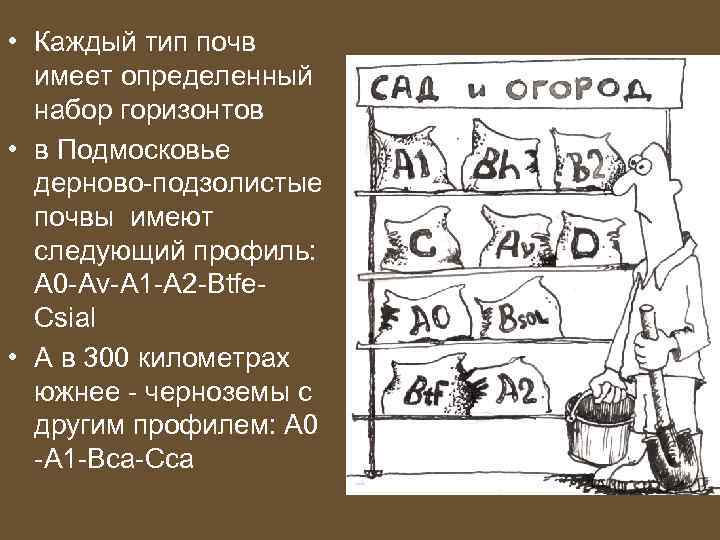  • Каждый тип почв имеет определенный набор горизонтов • в Подмосковье дерново-подзолистые почвы