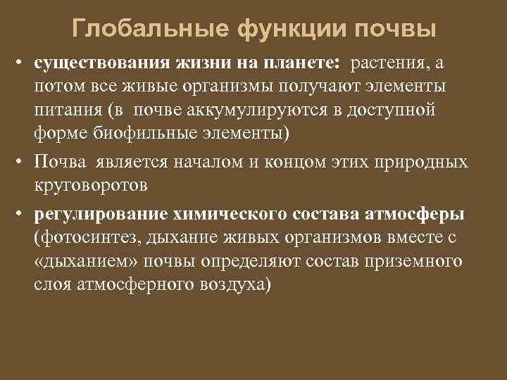 Экологическая роль почв. Глобальные экологические функции почв. Глобальные функции почвы. Функции почвы. Экологические функции почв.