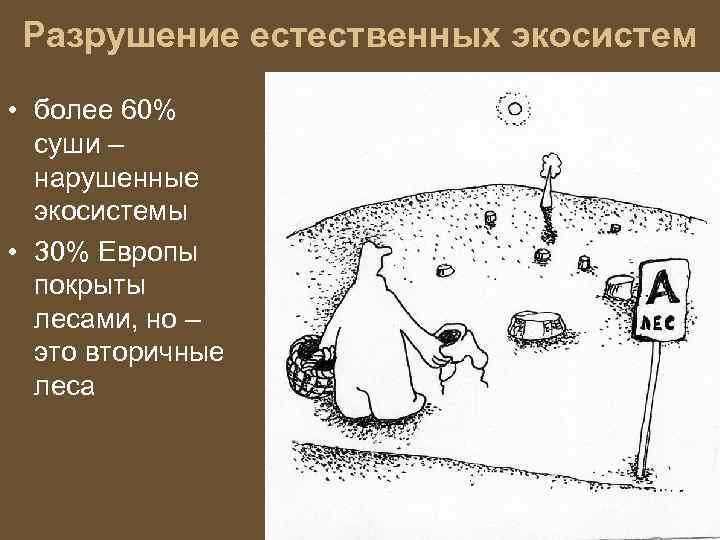 Разрушение естественных экосистем • более 60% суши – нарушенные экосистемы • 30% Европы покрыты