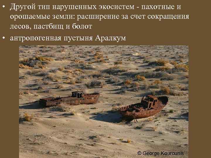  • Другой тип нарушенных экосистем - пахотные и орошаемые земли: расширение за счет