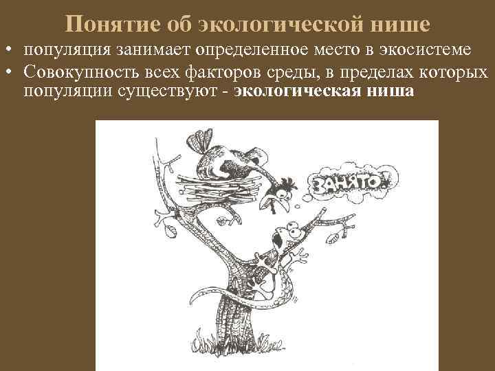 Понятие об экологической нише • популяция занимает определенное место в экосистеме • Совокупность всех