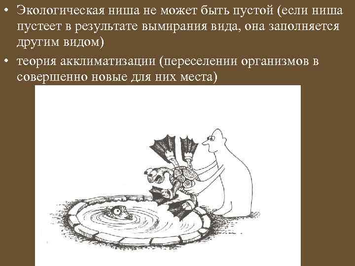  • Экологическая ниша не может быть пустой (если ниша пустеет в результате вымирания