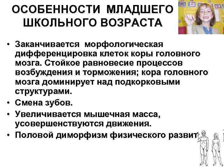 ОСОБЕННОСТИ МЛАДШЕГО ШКОЛЬНОГО ВОЗРАСТА • Заканчивается морфологическая дифференцировка клеток коры головного мозга. Стойкое равновесие