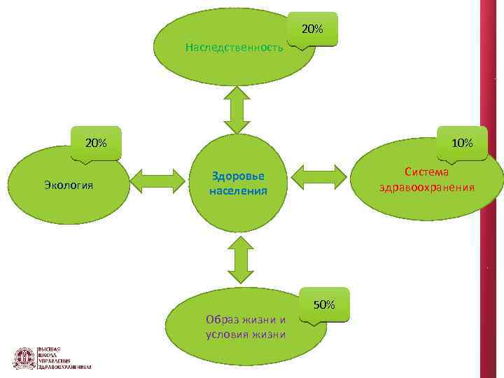 20% Наследственность 20% Экология 10% Система здравоохранения Здоровье населения Образ жизни и условия жизни