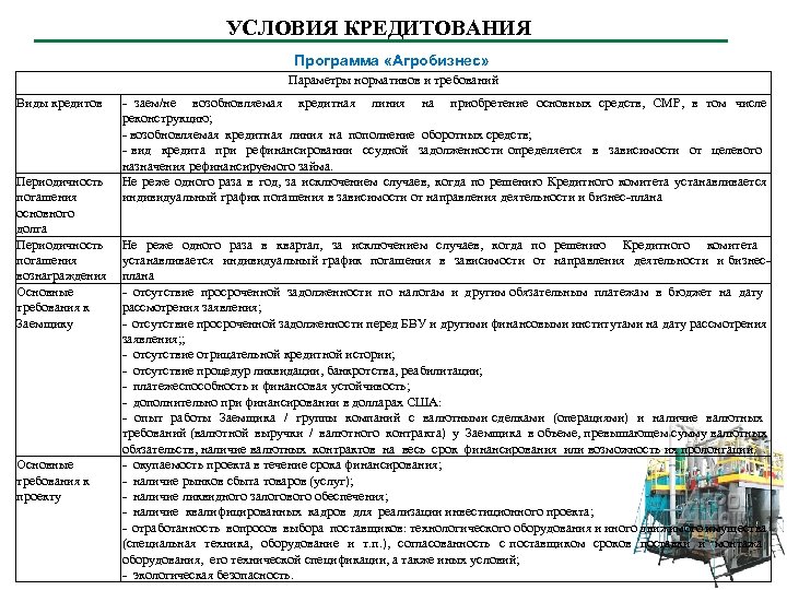 УСЛОВИЯ КРЕДИТОВАНИЯ Программа «Агробизнес» Параметры нормативов и требований Виды кредитов Периодичность погашения основного долга