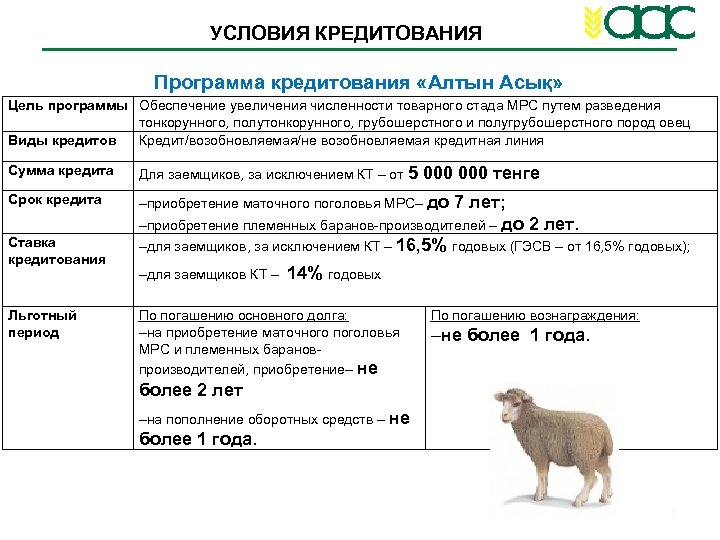 УСЛОВИЯ КРЕДИТОВАНИЯ Программа кредитования «Алтын Асық» Цель программы Обеспечение увеличения численности товарного стада МРС