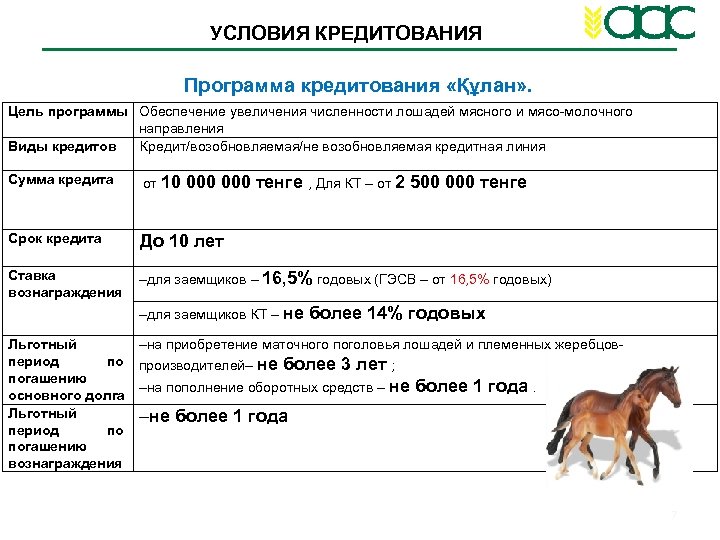 УСЛОВИЯ КРЕДИТОВАНИЯ Программа кредитования «Құлан» . Цель программы Обеспечение увеличения численности лошадей мясного и