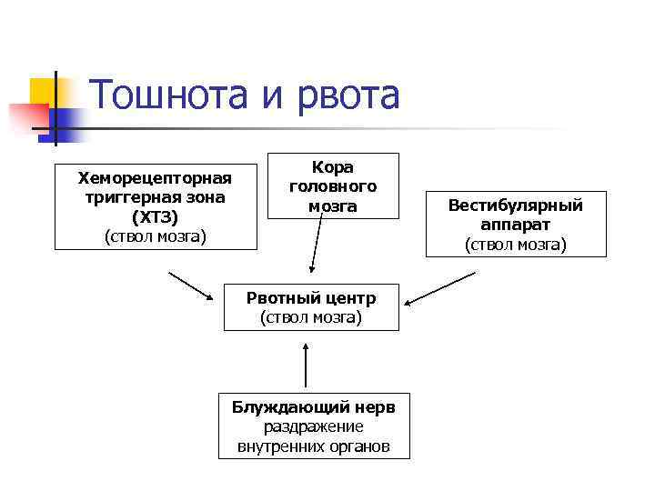 Тошнота и рвота Хеморецепторная триггерная зона (ХТЗ) (ствол мозга) Кора головного мозга Рвотный центр