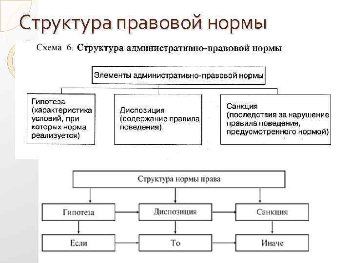 Структура правовой нормы 
