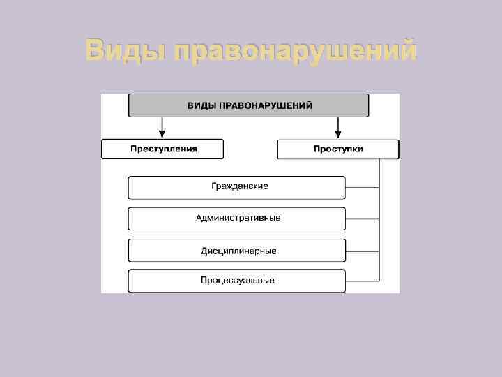 Виды правонарушений 