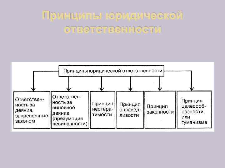 Принципы юридической ответственности 