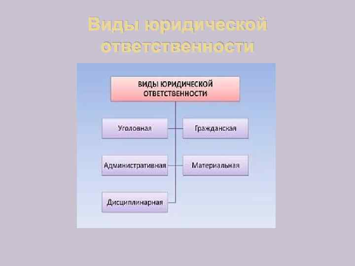 Виды юридической ответственности 