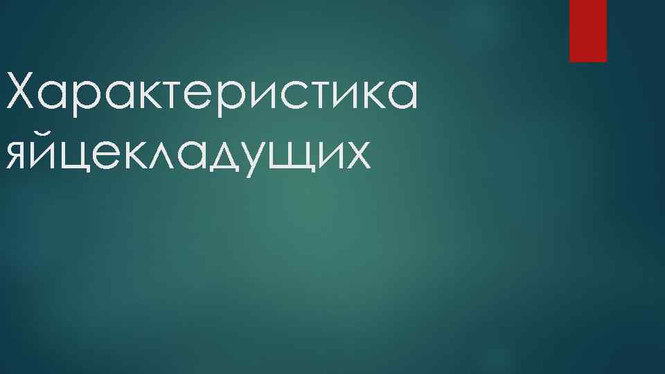 Характеристика яйцекладущих 