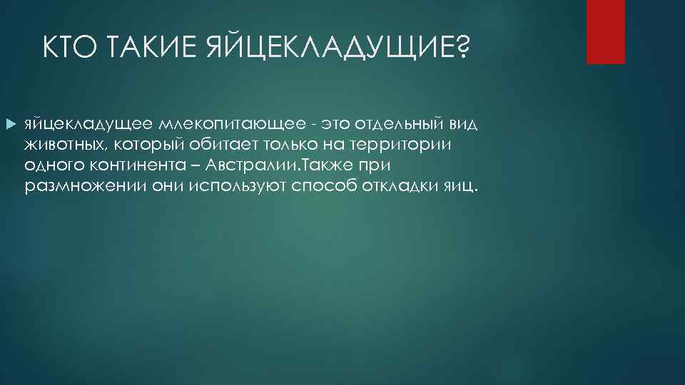 КТО ТАКИЕ ЯЙЦЕКЛАДУЩИЕ? яйцекладущее млекопитающее - это отдельный вид животных, который обитает только на