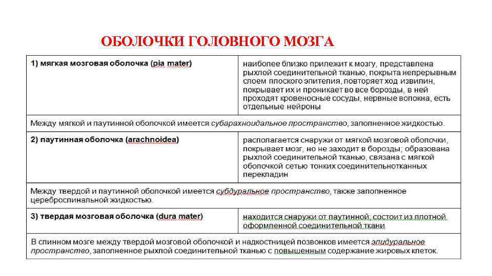 ОБОЛОЧКИ ГОЛОВНОГО МОЗГА 