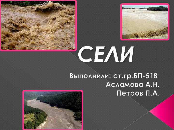 СЕЛИ Выполнили: ст. гр. БП-518 Асламова А. Н. Петров П. А. 