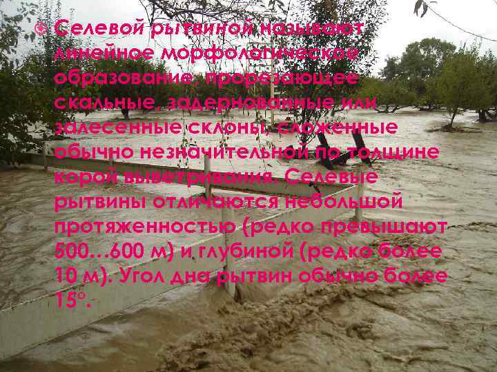  Селевой рытвиной называют линейное морфологическое образование, прорезающее скальные, задернованные или залесенные склоны, сложенные