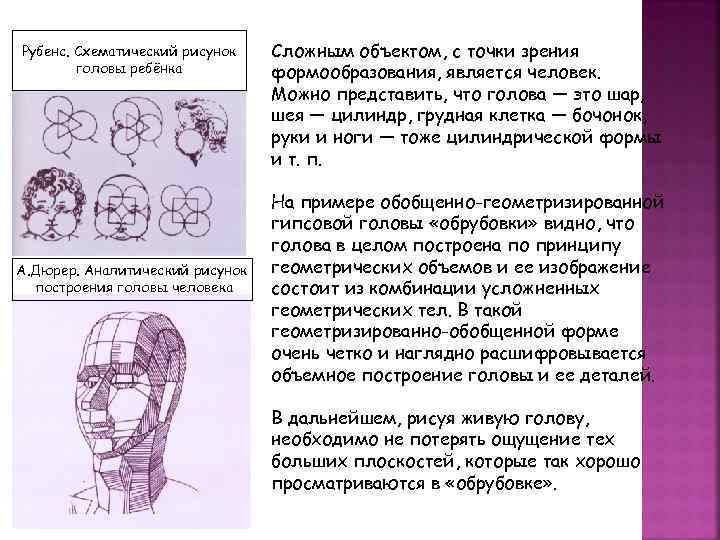 Рубенс. Схематический рисунок головы ребёнка А. Дюрер. Аналитический рисунок построения головы человека Сложным объектом,