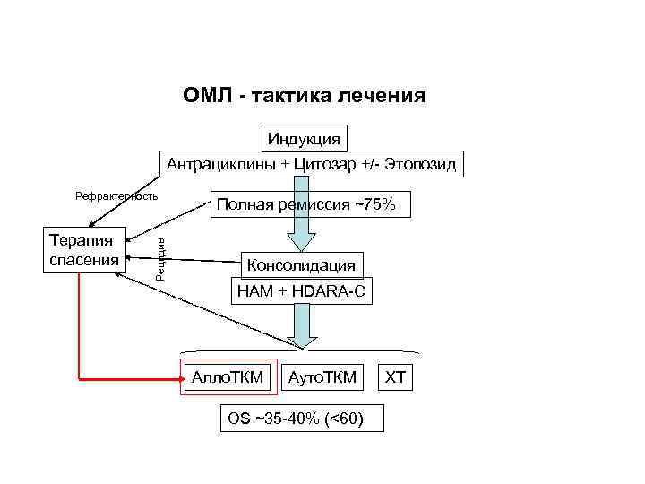 ОМЛ - тактика лечения Индукция Антрациклины + Цитозар +/- Этопозид Терапия спасения Рецидив Рефрактерность