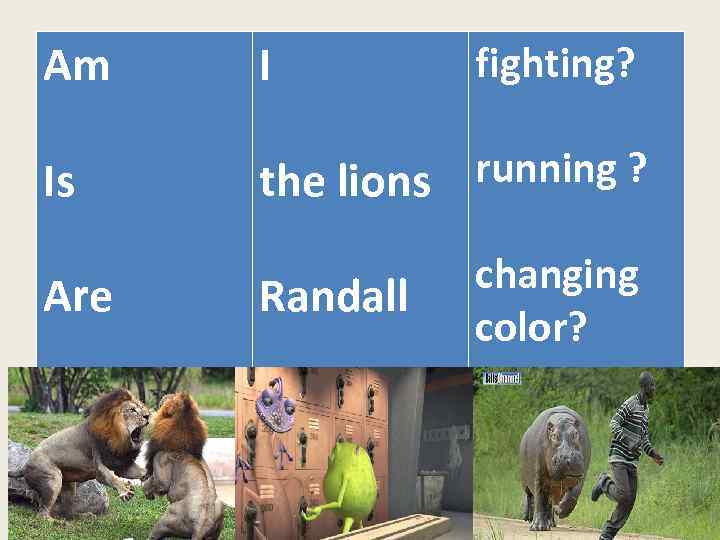 Am I Is the lions running ? Are Randall fighting? changing color? 