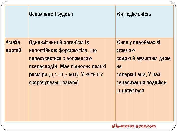 Особливості будови Амеба протей Життєдіяльність Одноклітинний організм із непостійною формою тіла, що пересувається з