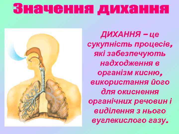 ДИХАННЯ – це сукупність процесів, які забезпечують надходження в організм кисню, використання його для