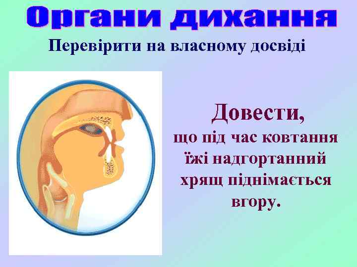 Перевірити на власному досвіді Довести, що під час ковтання їжі надгортанний хрящ піднімається вгору.