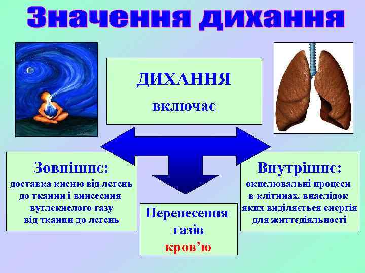 ДИХАННЯ включає Зовнішнє: Внутрішнє: доставка кисню від легень до тканин і винесення вуглекислого газу