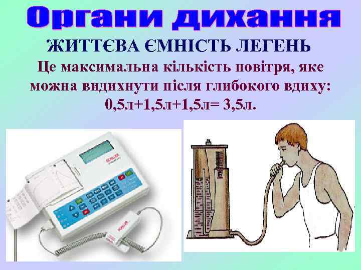 ЖИТТЄВА ЄМНІСТЬ ЛЕГЕНЬ Це максимальна кількість повітря, яке можна видихнути після глибокого вдиху: 0,